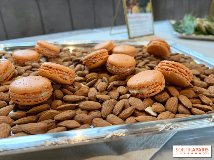 Dalloyau - Macarons de Noël 2023