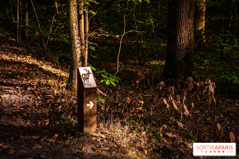 Le sentier des Maréchaux à Senlisse - Vallée de Chevreuse - panneau faune flore