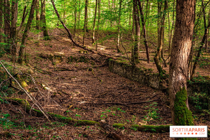 Le sentier des Maréchaux à Senlisse - Vallée de Chevreuse - ancien abreuvoir