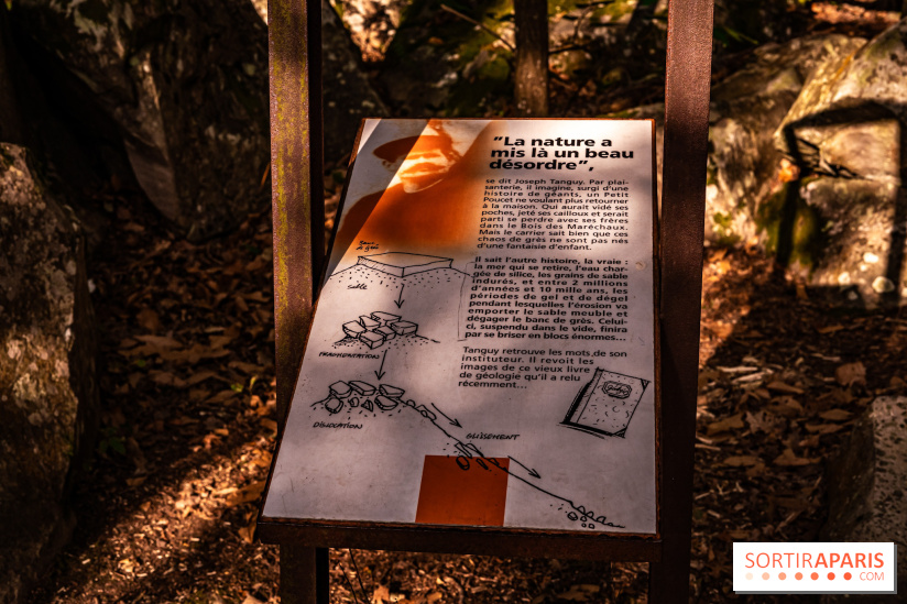 Le sentier des Maréchaux à Senlisse - Vallée de Chevreuse - A7C2536
