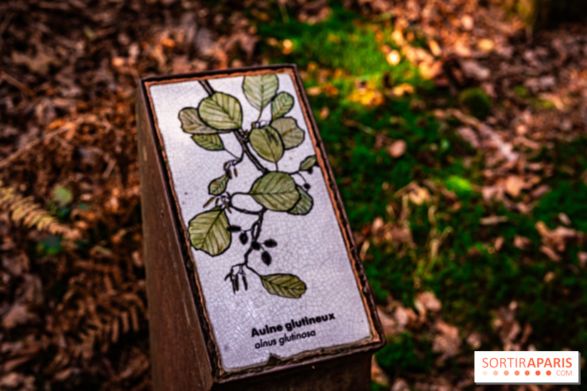 Le sentier des Maréchaux à Senlisse - Vallée de Chevreuse - panneau faune flore
