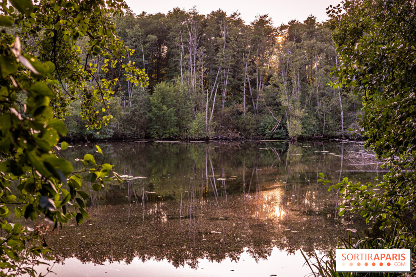 Le sentier des Maréchaux à Senlisse - Vallée de Chevreuse - étang de Cernay