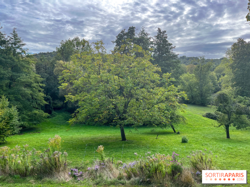 La maison littéraire de Victor Hugo, joyau patrimonial à Bièvres (91) - image00016