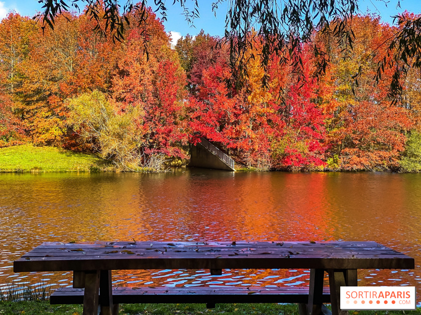Bassin - étang de la Boissière à Elancourt