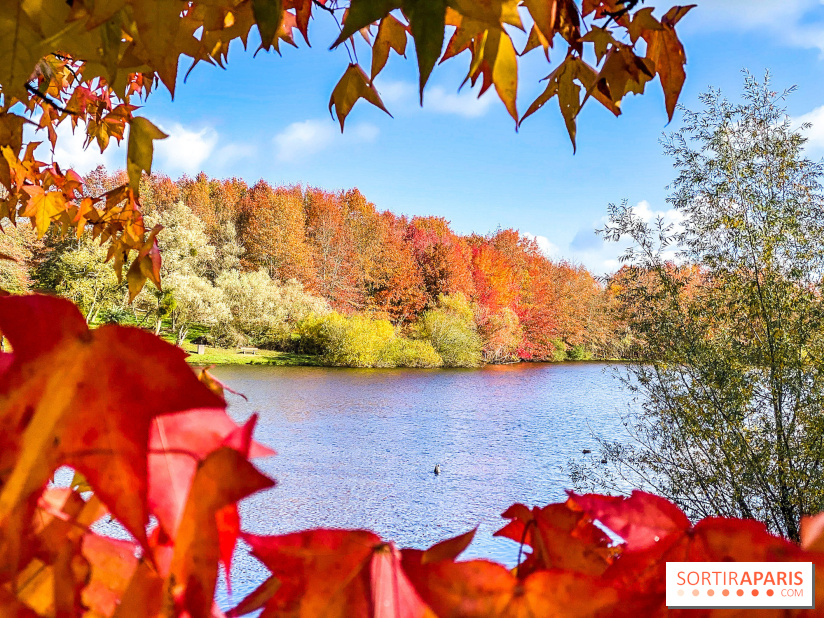 Bassin - étang de la Boissière à Elancourt