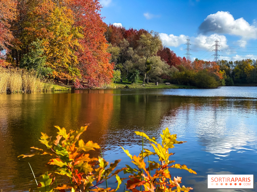 Bassin - étang de la Boissière à Elancourt