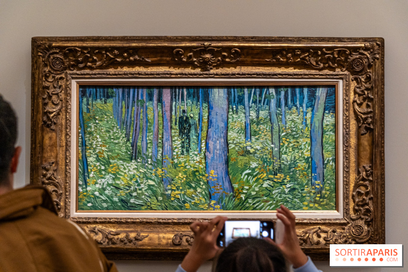 Exposition Van Gogh au Musée d’Orsay - Auvers-sur-Oise, les derniers mois - A7C3124