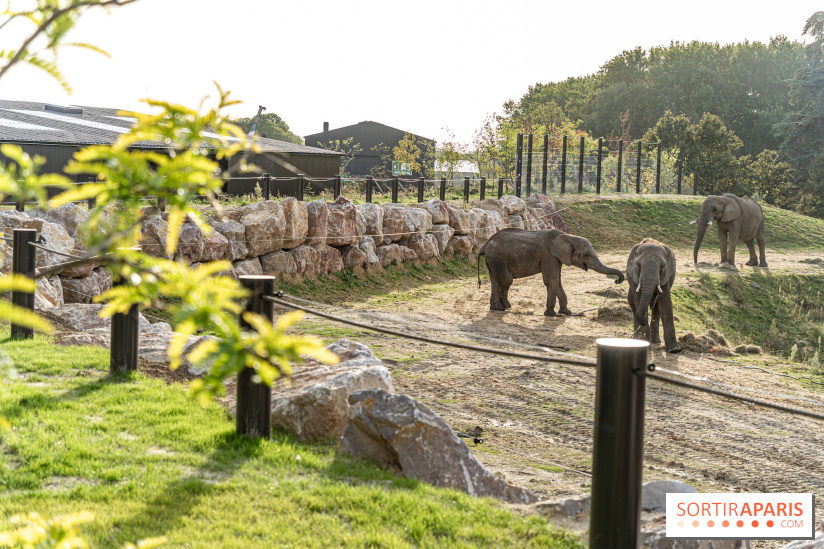 Les lodges de Thoiry - dormir à Thoiry en Terres d'Afrique - Photos -  A7C3291