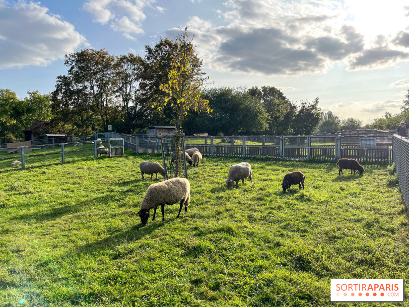La ferme pédagogique du parc des Chanteraines