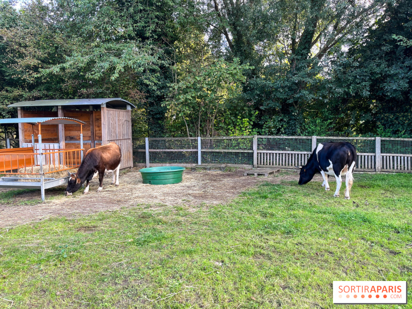 La ferme pédagogique du parc des Chanteraines