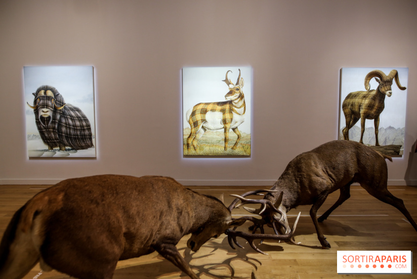 Sean Landers, les photos de son expo au Musée de la Chasse et de la Nature - IMG 1238