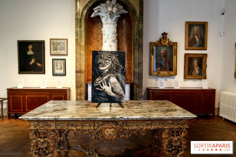 Sara-Vide Ericson : les photos de son expo à l'Institut suédois - IMG 1319