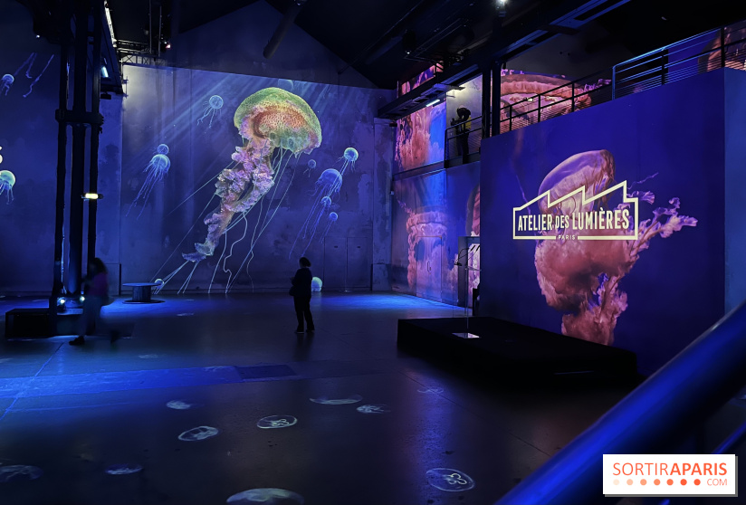Océans, l'Odyssée Immersive à l'Atelier des Lumières - IMG 6095