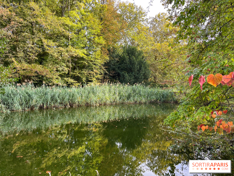 Le parc de l'Île Verte à Chatenay-Malabry - nos photos