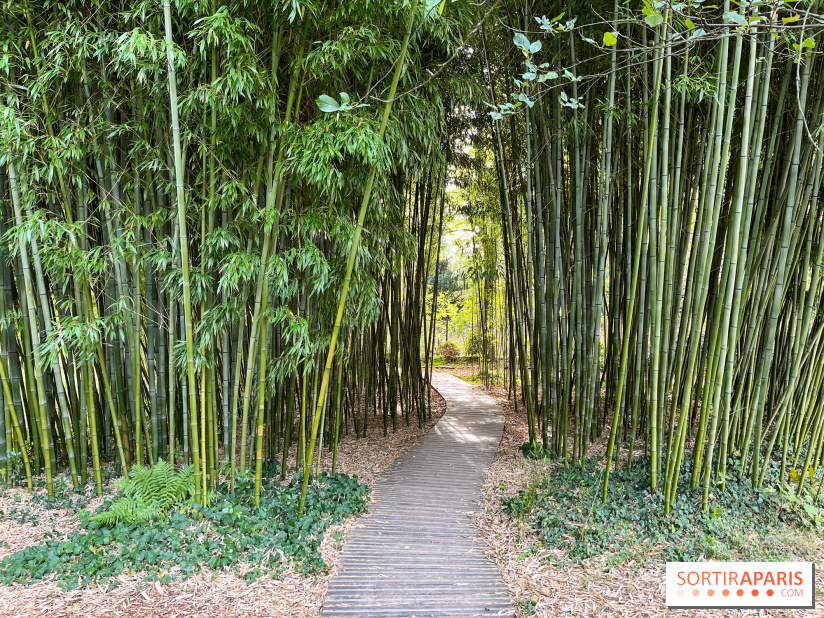 Le parc de l'Île Verte à Chatenay-Malabry - nos photos - image00542