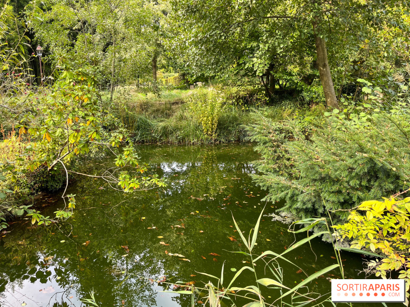 Le parc de l'Île Verte à Chatenay-Malabry - nos photos - image00517
