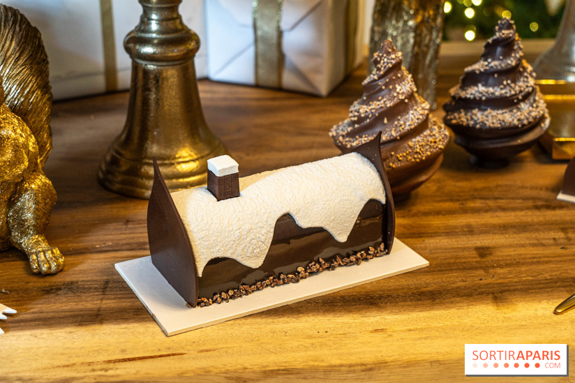 Bûches de Noël 2023 et galette 2024 de Lenôtre - A7C0848