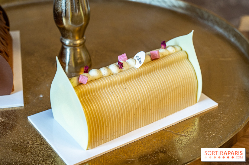 Bûches de Noël 2023 et galette 2024 de Lenôtre - A7C0851