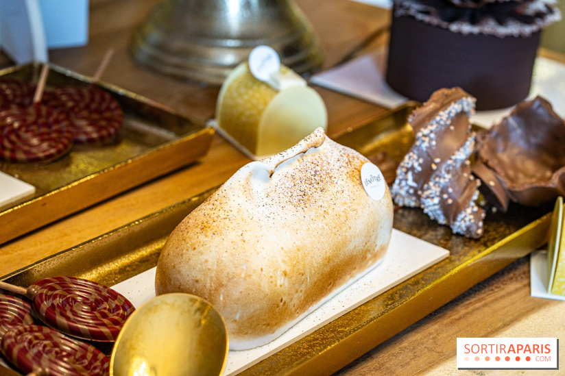 Bûches de Noël 2023 et galette 2024 de Lenôtre - A7C0873