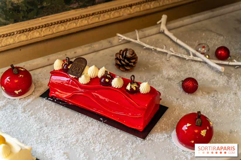 Bûche de Noël d'Angelina 2023 - A7C0403