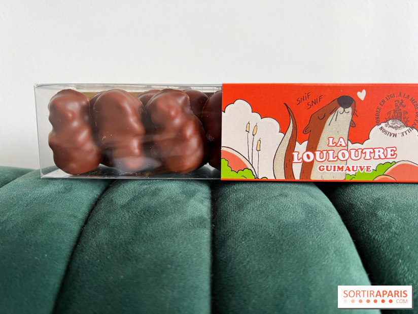 Chocolats de Noël A La Mère de Famille - 9EB972D6 44DF 48CB 9A8E D342F4D10E77