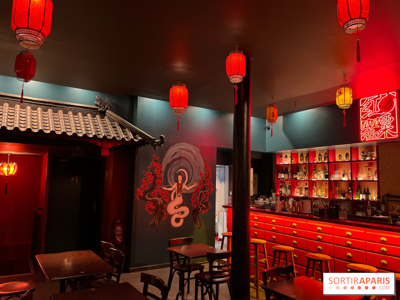 Red Poppy - IMG 6235