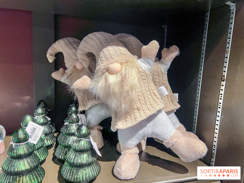 Un Noël Magique à So Ouest - IMG 8340