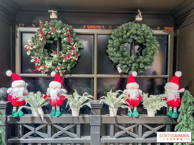 Un Noël Magique à So Ouest - IMG 8350