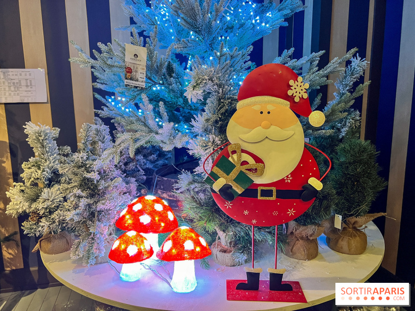 Un Noël Magique à So Ouest