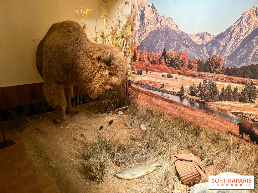 Le brunch du Comptoir Général - nos photos - image00001