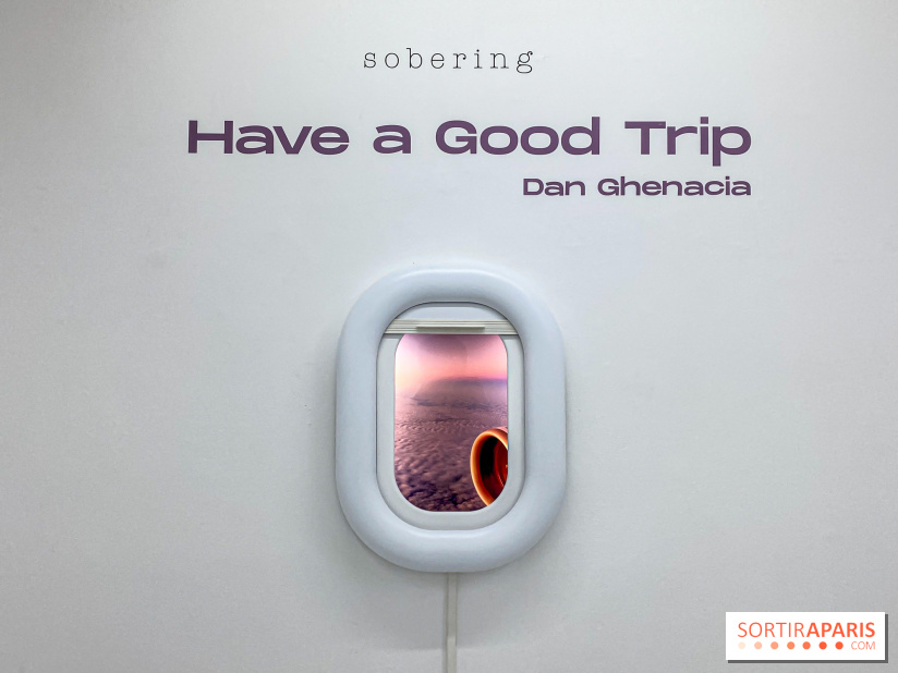 Exposition immersive Have a Good Trip Dan Ghenacia Sobering Galerie
