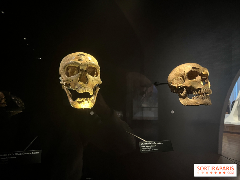 Le musée de l'Homme - collections permanentes