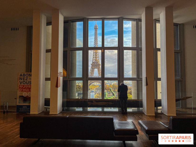 Le musée de l'Homme - collections permanentes - image00028