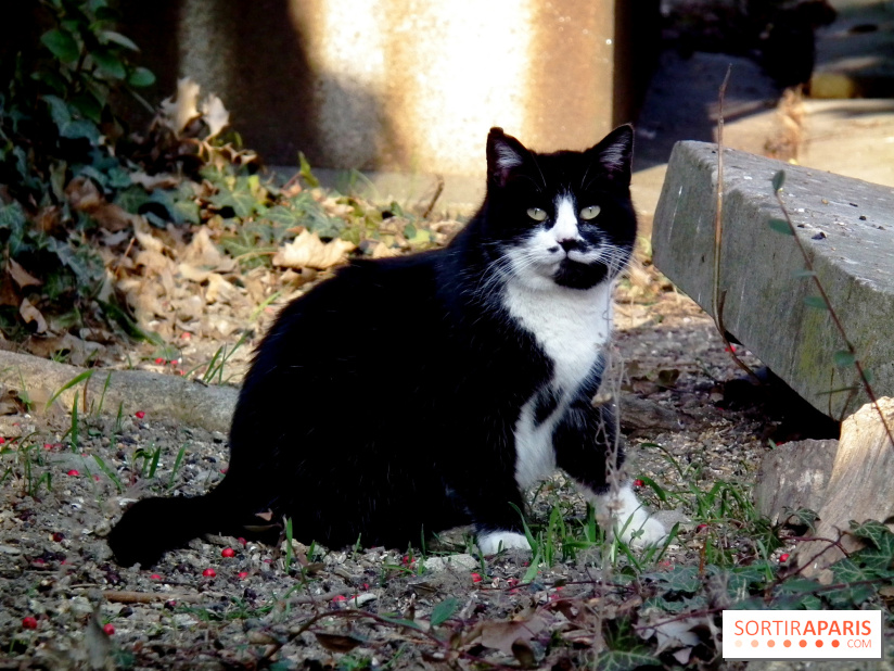 Le Père Lachaise, le cimetière le plus mythique de Paris et ses tombes de personnalités célèbres