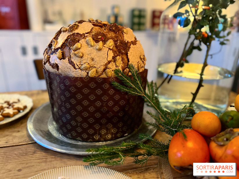Panettone de Noël 2023 Christophe Louie x Dammann Frères