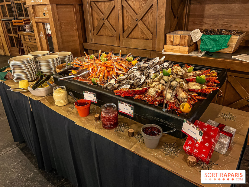 Réveillon de Noël et du Nouvel an à la Cité Suspendue du Parc Astérix - IMG 4733