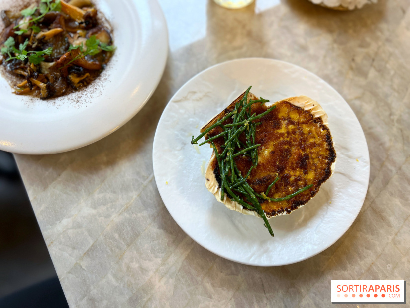 Le Boréal - Saint-Jacques gratinée