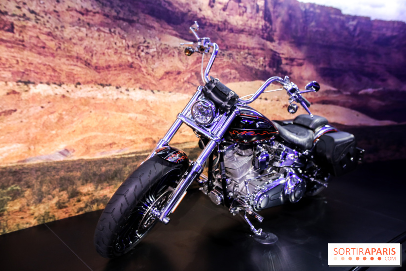 Johnny Hallyday, nos photos de l'expo à Paris - IMG 2059