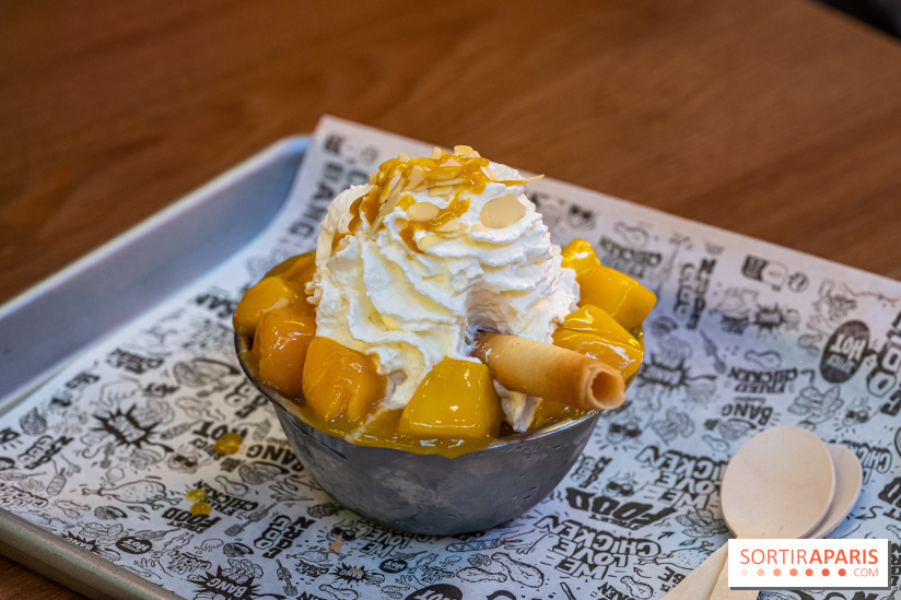 Chikin Bang, restaurant street food coréen à Paris-La Défense -  A7C1346