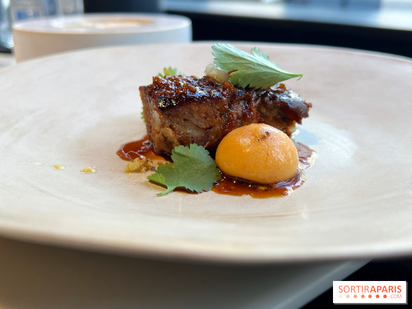 Vaisseau d'Adrien Cachot - Cochon de lait