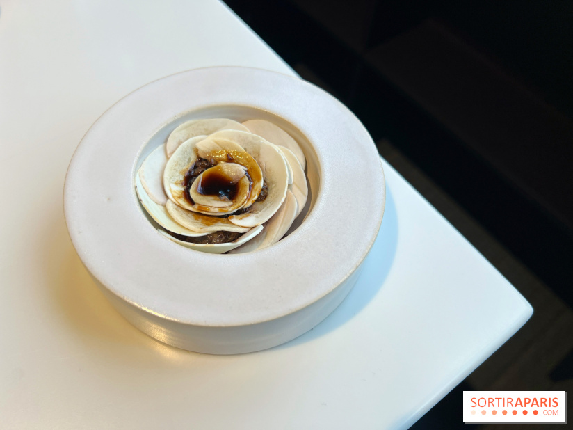 Vaisseau d'Adrien Cachot - Champignons