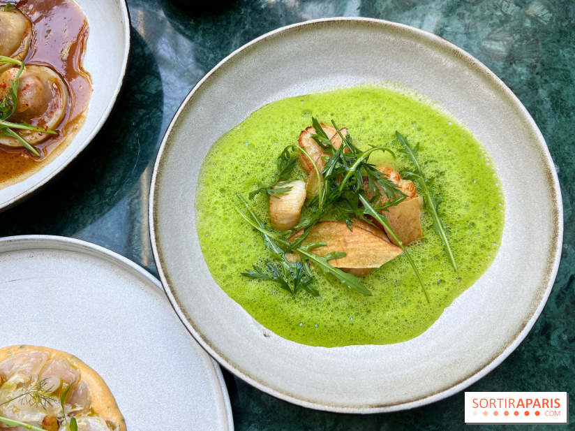 Halo de Victor Blanchet - Saint-Jacques grillées