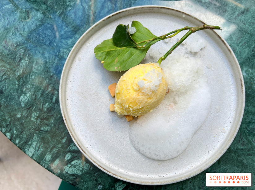 Halo de Victor Blanchet - Citron réaliste