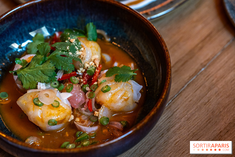 Little Bambou, le nouveau restaurant thaï de Trocadéro - raviolis