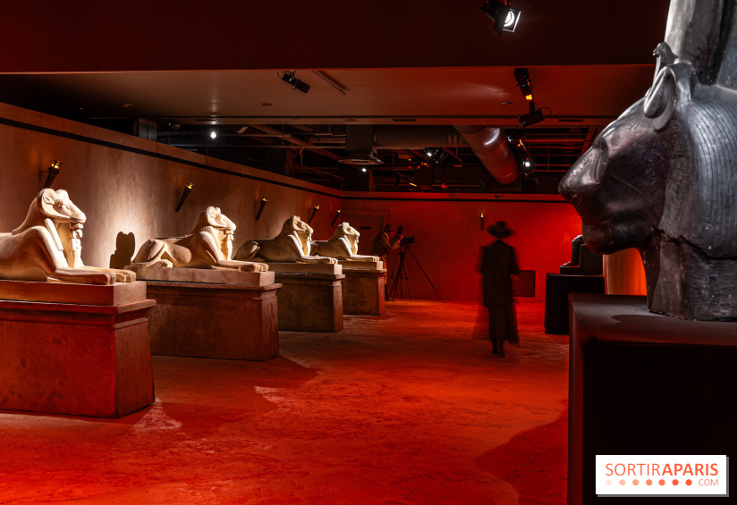 Toutankhamon, l'expérience immersive Pharaonique - les photos - A7C4305