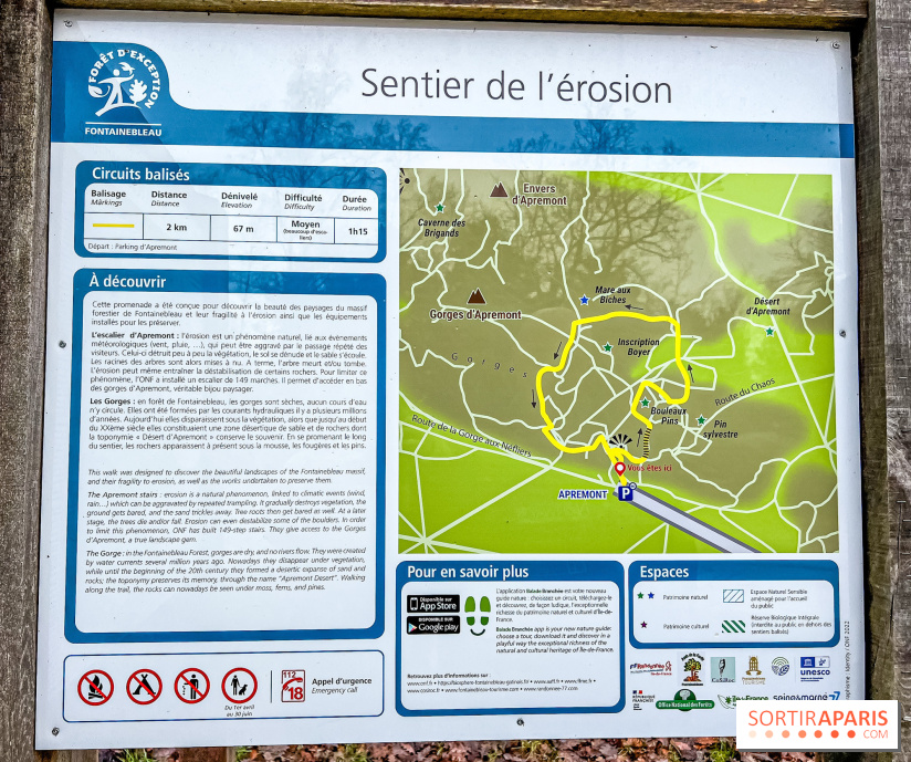 Le sentier de l'érosion à Fontainebleau - balade en forêt - IMG 6592