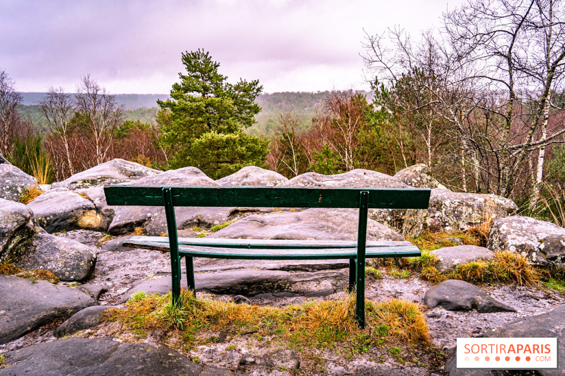 Le sentier de l'érosion à Fontainebleau - balade en forêt -  A7C4566