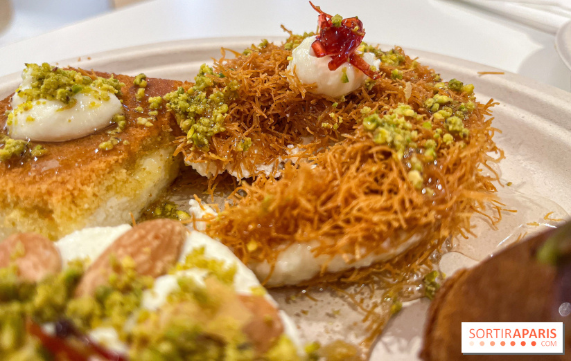 Maison Hallab - nos photos - image00013