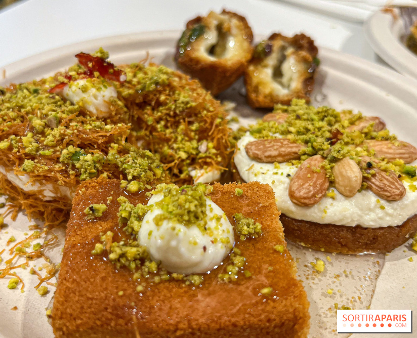 Maison Hallab - nos photos - image00011