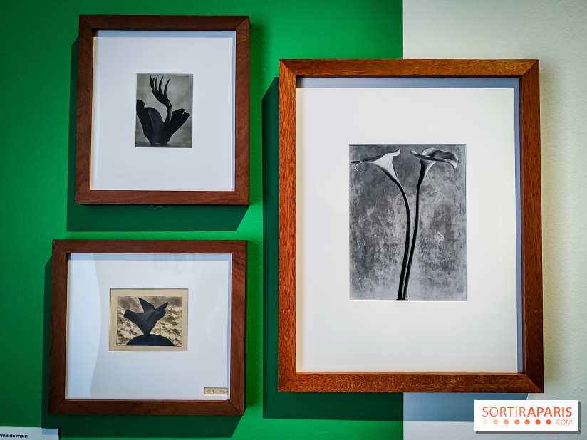 Tina Modotti : l'exposition photo rétrospective au Jeu de Paume - nos photos